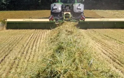 Rekordförsäljning för både Krone och Söderberg & Haak