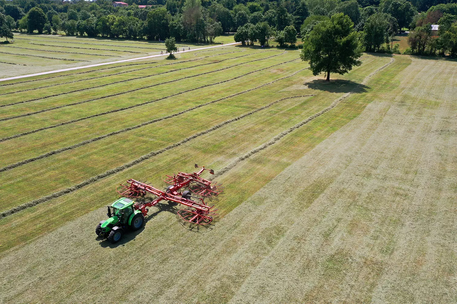 web_6C Series_6135C_PS_Stage V_field_DJI_0108